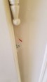/album/co-jsme-nasli/a20161020-095153-jpg1/